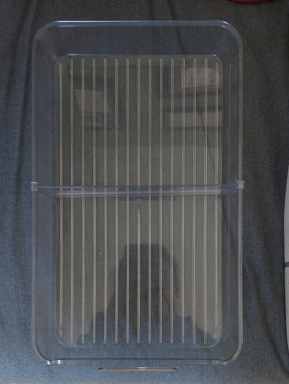 Clear Plastic Storage Bin Organizer - Transparent